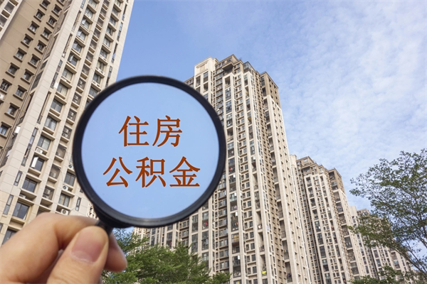公积金怎么一次性全部提取-郓城公积金代办平台